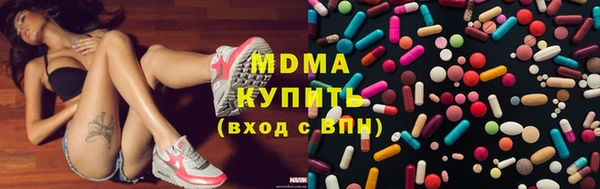 шишки Ельня