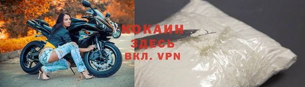 шишки Ельня