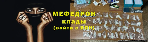 шишки Ельня