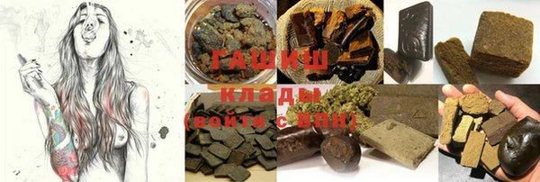 шишки Ельня
